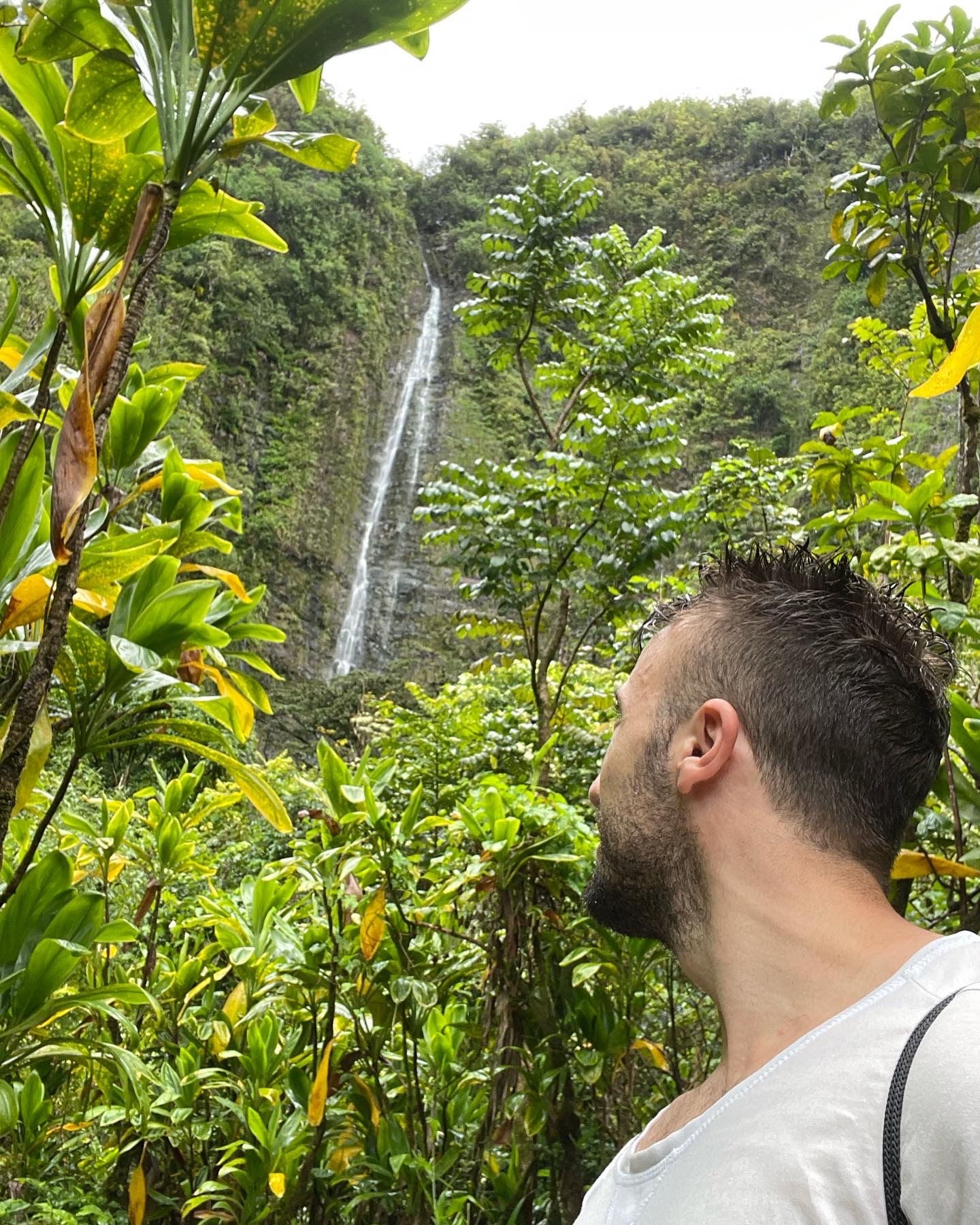 Essential Hawaii