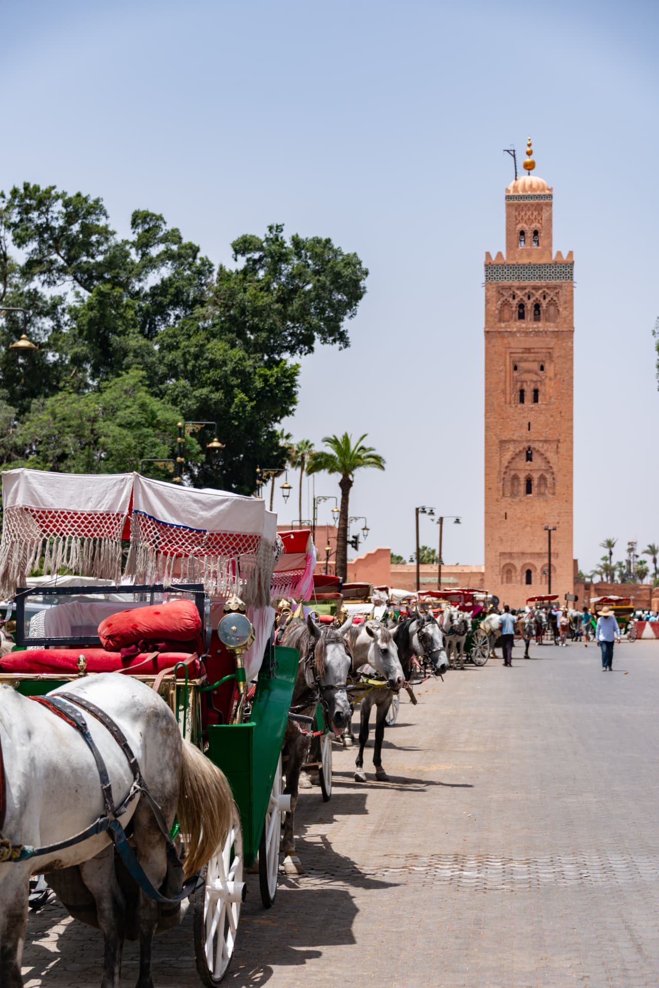 Marocco