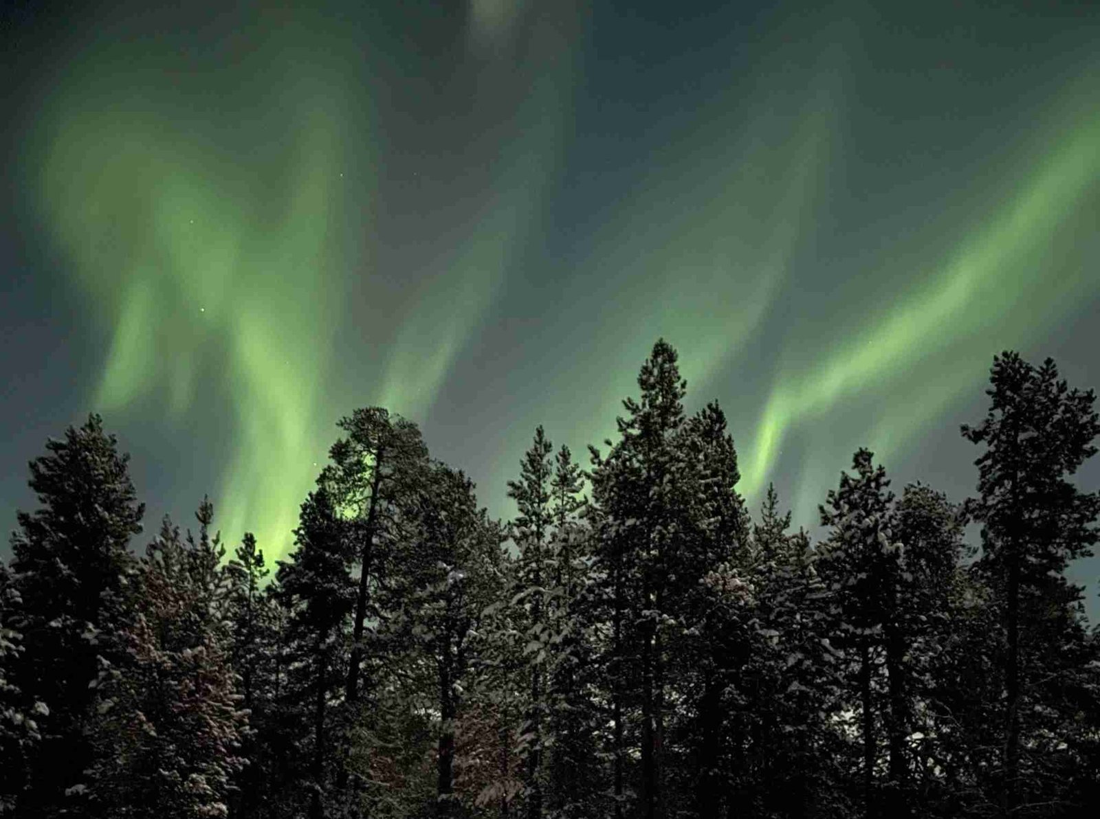 Aurora boreale in Lapponia