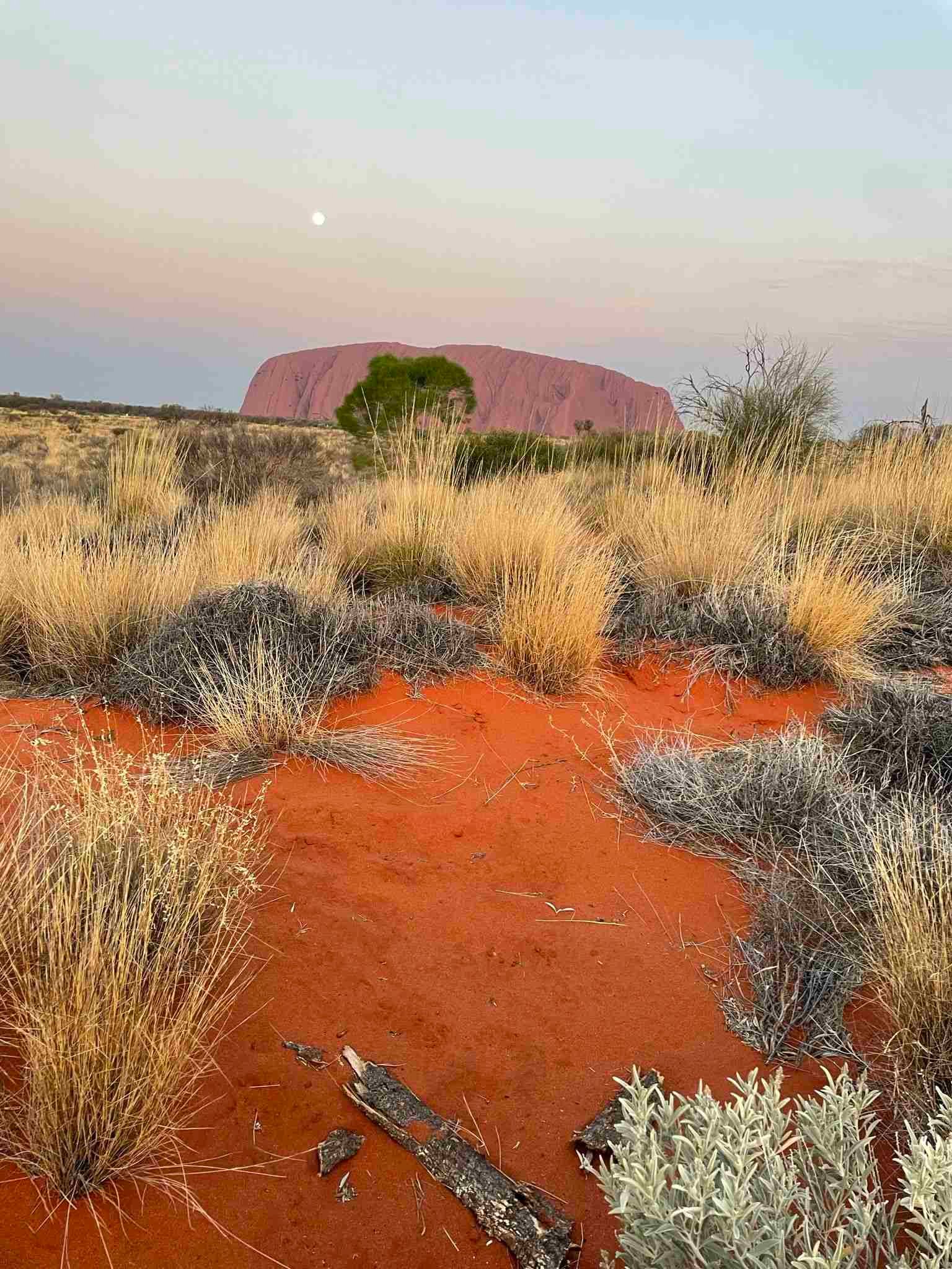 Outback australiano