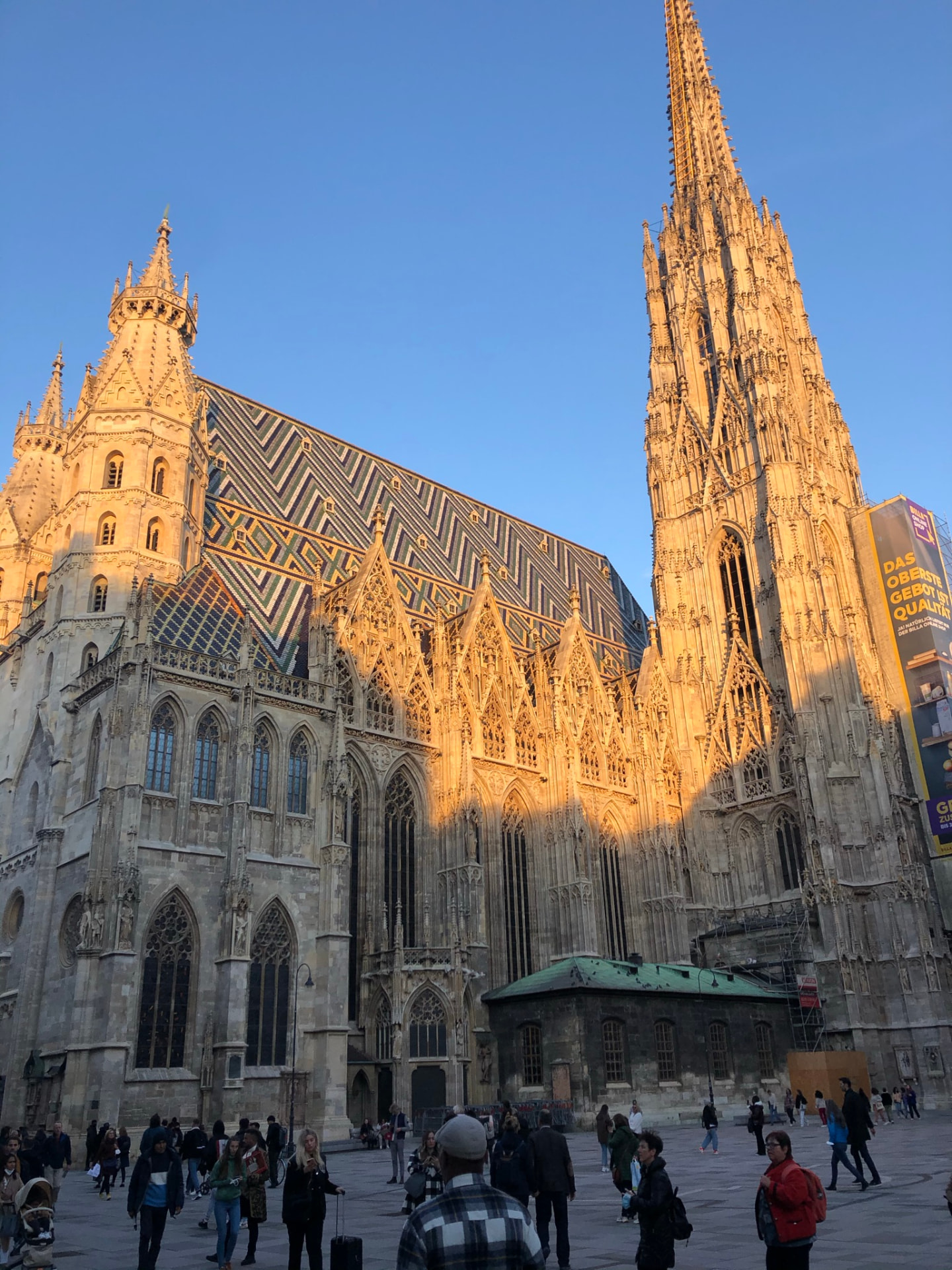 Vienna