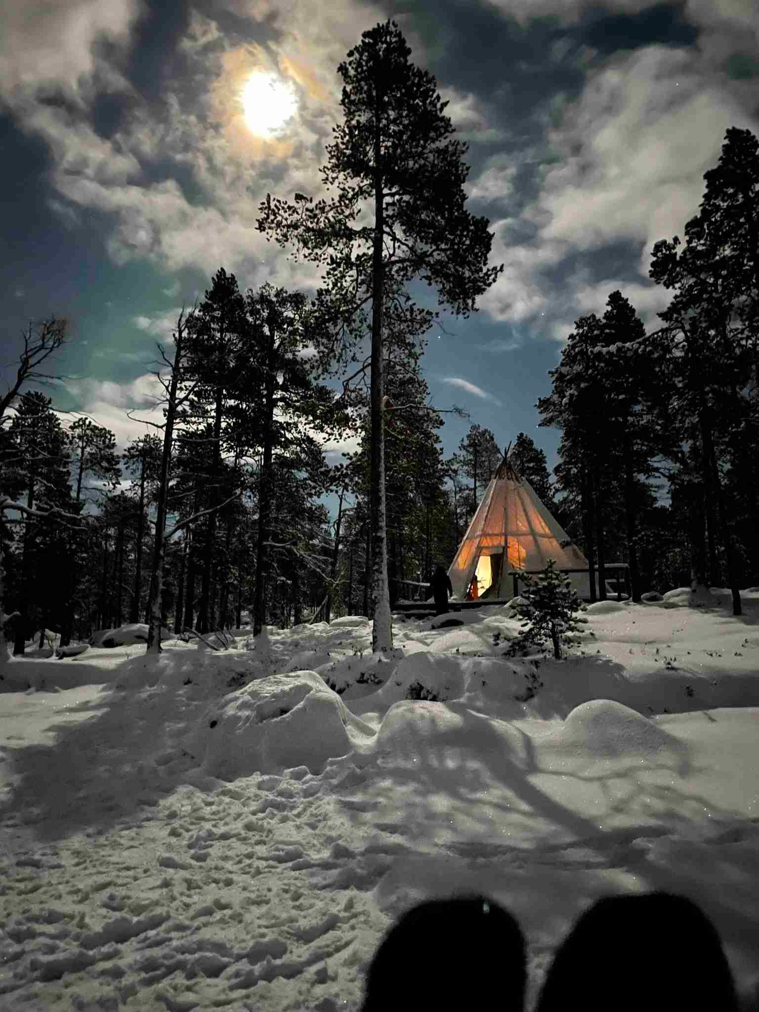 Inverno artico in Lapponia