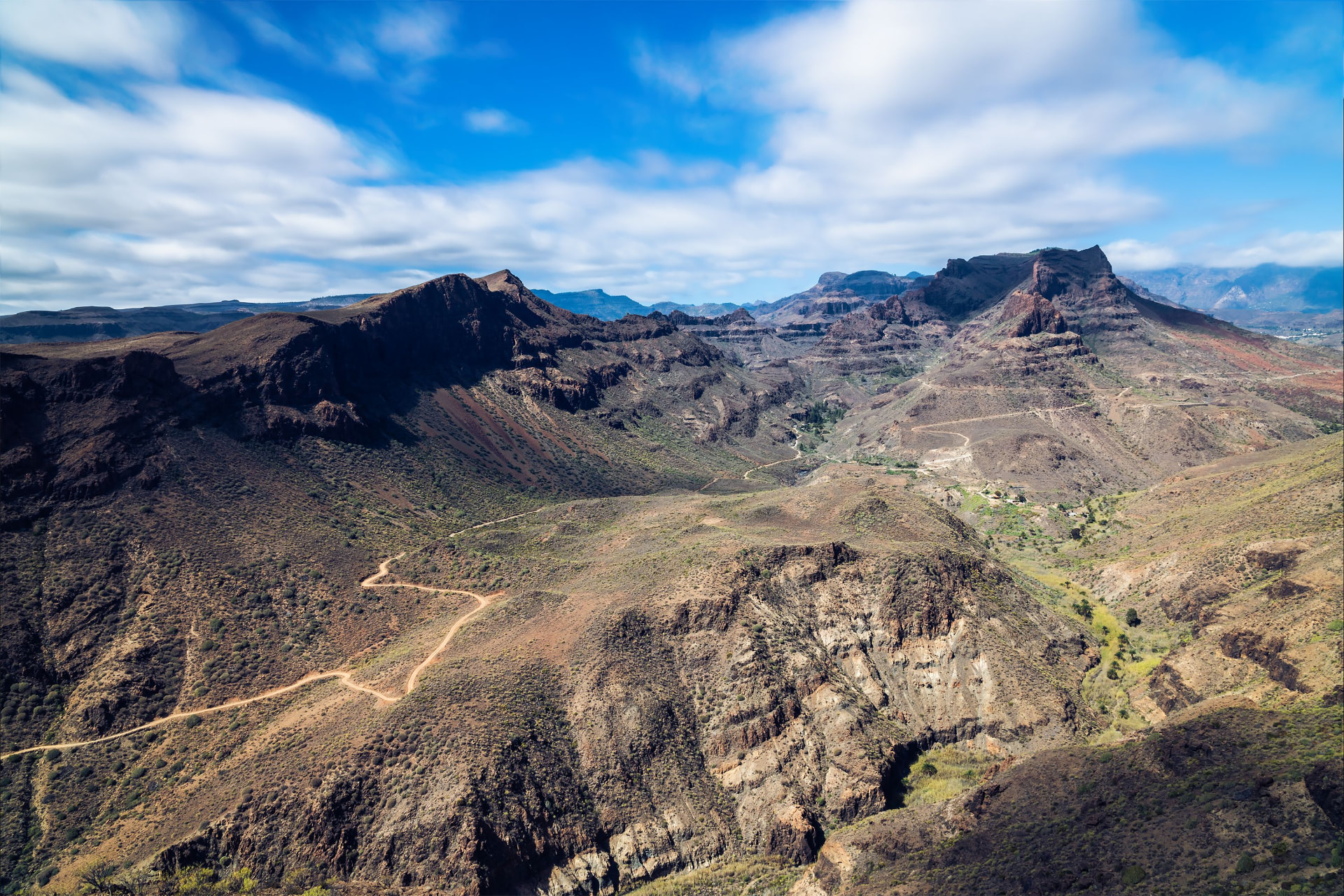 Canarie